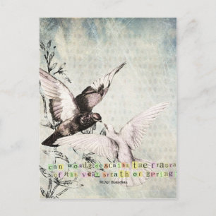 Spring Birds Postcard