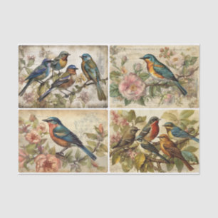 Spring Birds  Tissue Paper