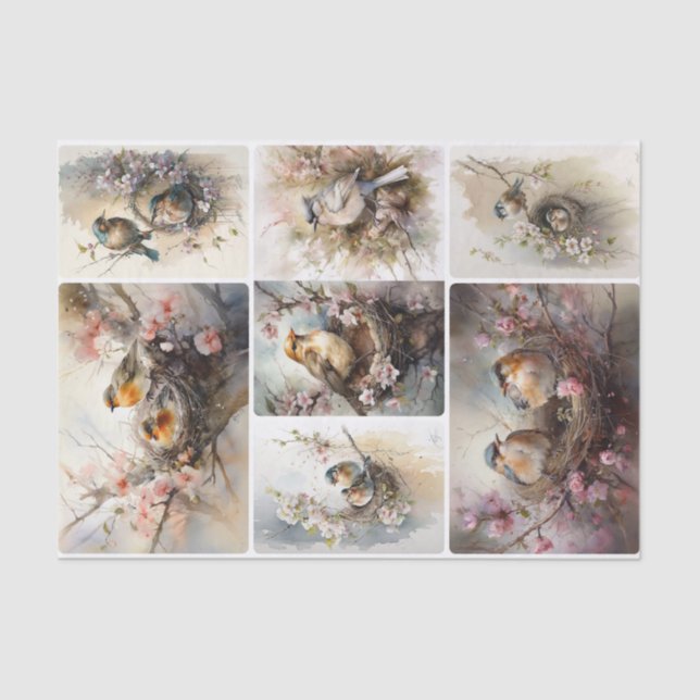 Spring Birds  Tissue Paper (Front)