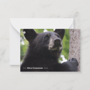 Spring - Black Bear Card