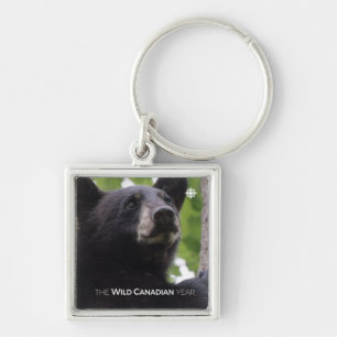 Spring - Black Bear Key Ring
