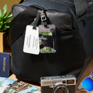 Spring - Black Bear Luggage Tag
