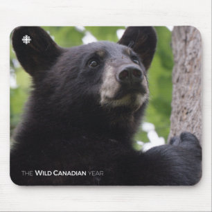 Spring - Black Bear Mouse Mat