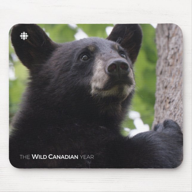 Spring - Black Bear Mouse Mat (Front)