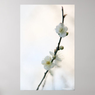 Spring Bliss Poster