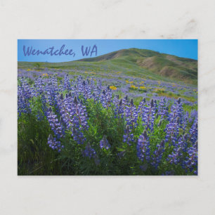 Spring Bloom at Sage Hills Wenatchee, Washington Postcard