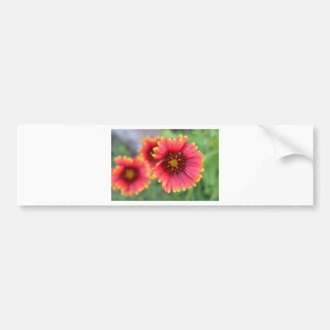 Spring Bloom Pt 2 Bumper Sticker (Front)