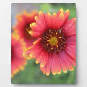 Spring Bloom Pt 2 Plaque