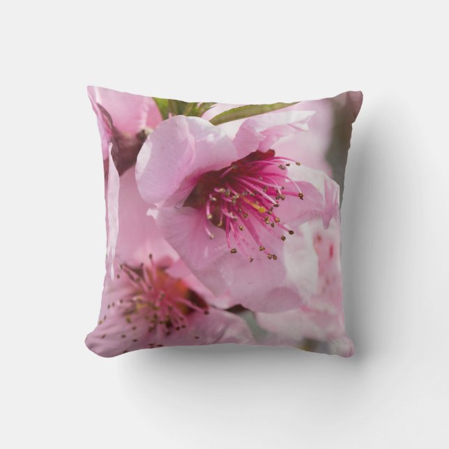 Spring blooming cushion (Front)