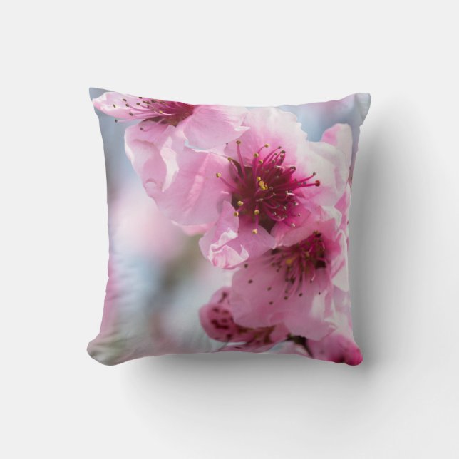 Spring blooming cushion (Front)