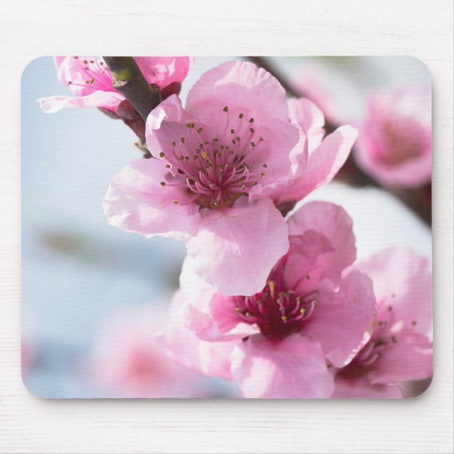 Spring blooming mouse mat (Front)