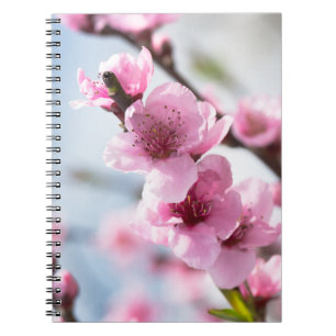 Spring blooming notebook