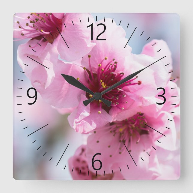 Spring blooming square wall clock (Front)