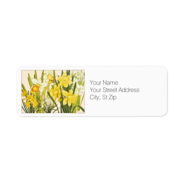 Spring Blooming Yellow Daffodils Botanical Address (Front)