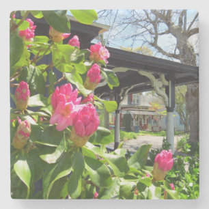 Spring Blooms in Cottage City - Martha's Vineyard Stone Coaster