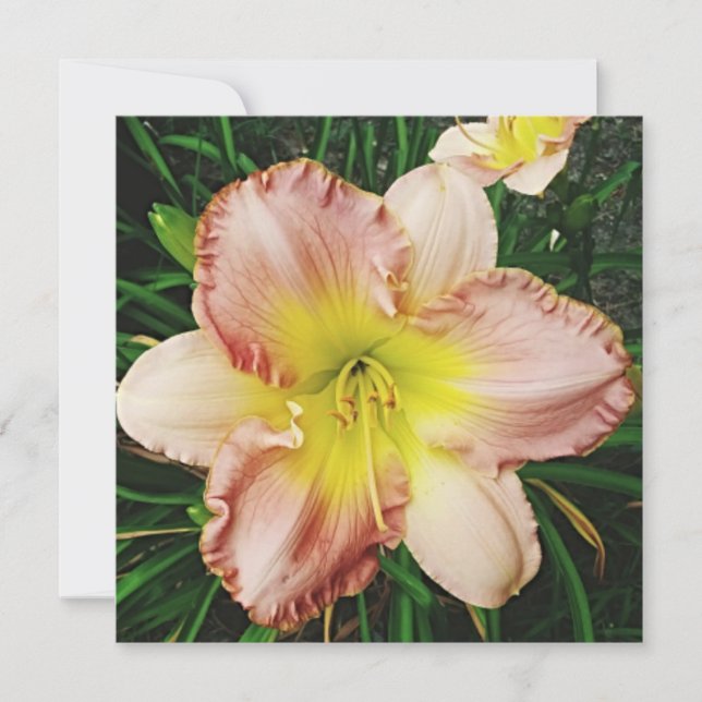 Spring Blooms Invitation (Front)