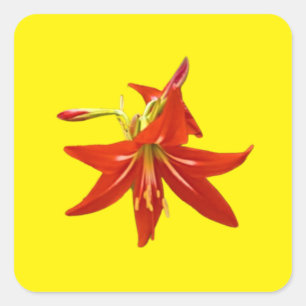Spring Blooms Square Sticker