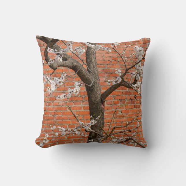 Spring Blossom Apricot Tree Red Brick Wall Cushion (Front)