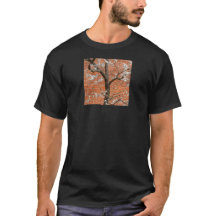 Spring Blossom Apricot Tree Red Brick Wall