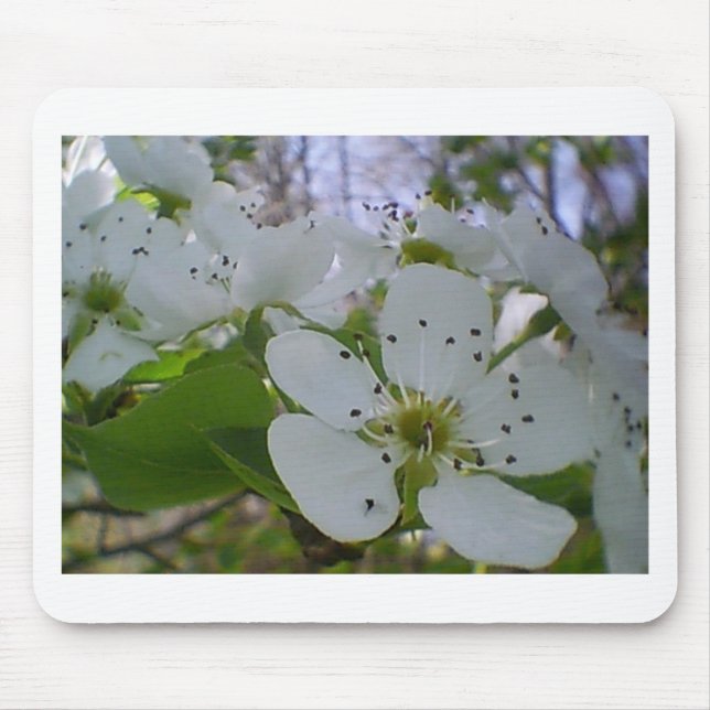 Spring Blossom Mouse Mat (Front)
