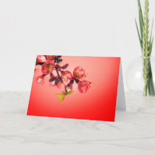 Spring blossom over red background holiday card