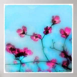 Spring blossom,poster poster