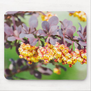 Spring blossoming mouse mat