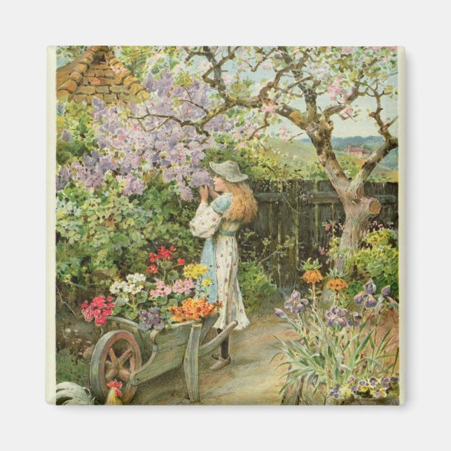 Spring Blossoms, from the Pears Annual, 1902 Magnet (Front)