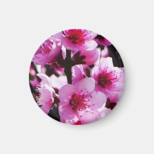 Spring Blossoms Magnet