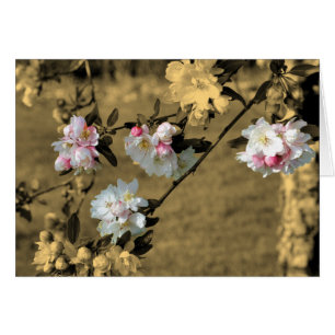 Spring Blossoms On Sepia Flower Card