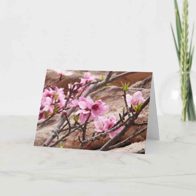 Spring Blossoms on Zion Rocks Card (Front)