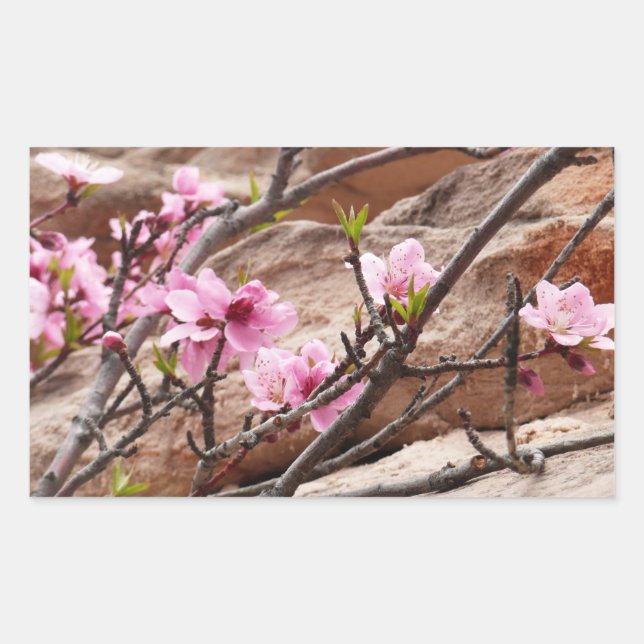 Spring Blossoms on Zion Rocks Rectangular Sticker (Front)