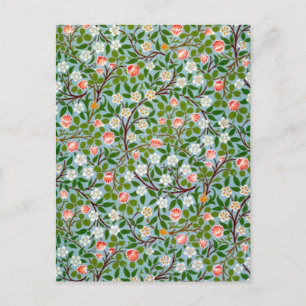 Spring Blossoms Postcard