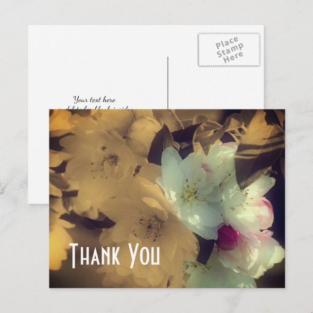 Spring Blossoms Sepia Flowers Thank You Postcard (Front/Back)