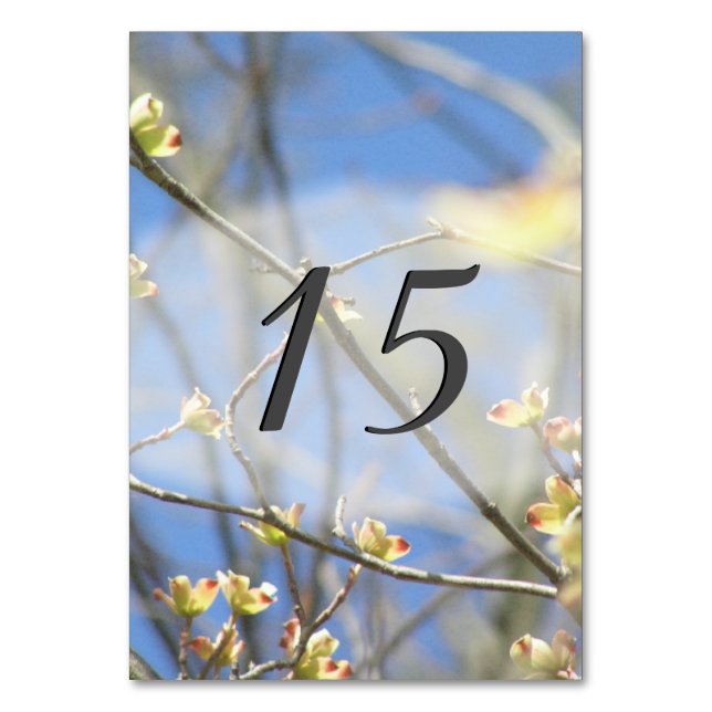 Spring Blossoms Table Number (Front)