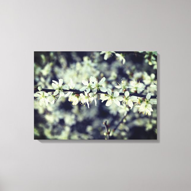 Spring Blossoms Wrapped Canvas (Front)