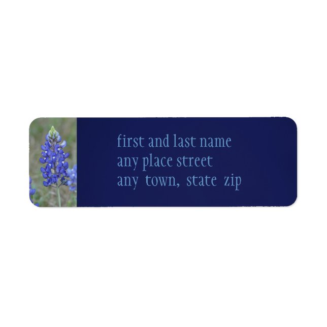 Spring Blue Bonnets (Front)