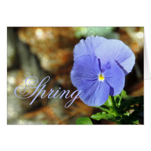 Spring Blue Pansy Any Occasion Card