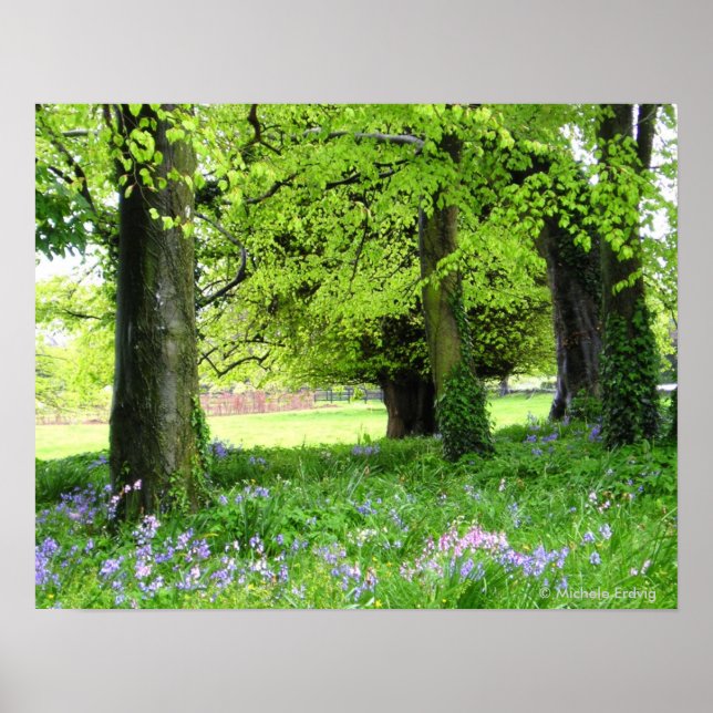 Spring Bluebell Forest Print (Front)