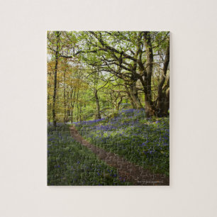 Spring bluebell woods jigsaw puzzle