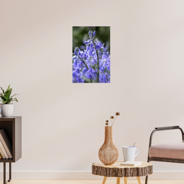 Spring Bluebells after the Rain Poster (Living Room 3)