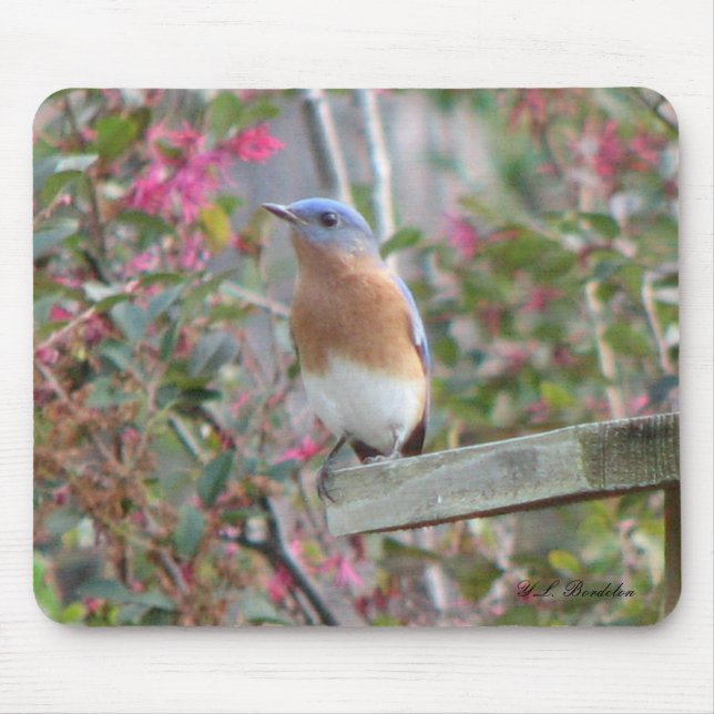 Spring Bluebird Mousepad (Front)