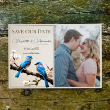 Spring Bluebirds Photo Save the Date