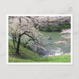 Spring Boating: Chidorigafuchi, Tokyo Postcard