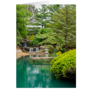 Spring Botanical Beauty