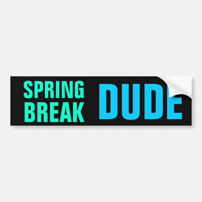 SPRING BREAK DUDE bumper sticker (Front)