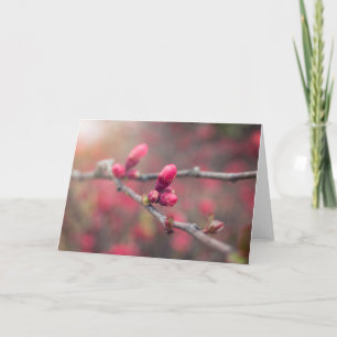 Spring Buds Forth Card