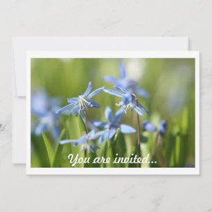 Spring Bulbs invitations