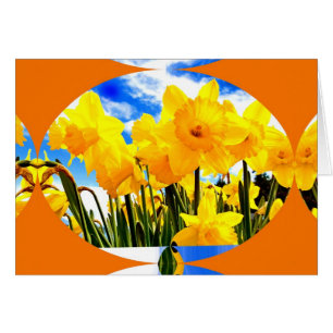 Spring Burst