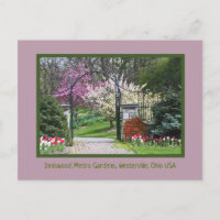 "SPRING BURSTS  FORTH AT INNISWOOD"